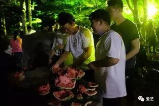 城市大学吃瓜事件,揭秘校园网络暴力的阴影面